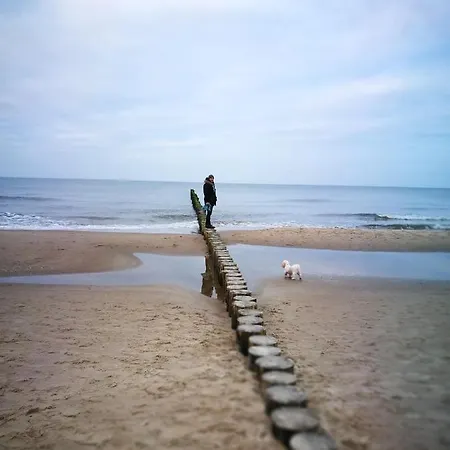 Lux Karina Porta Mare דירה דז'יבנובק